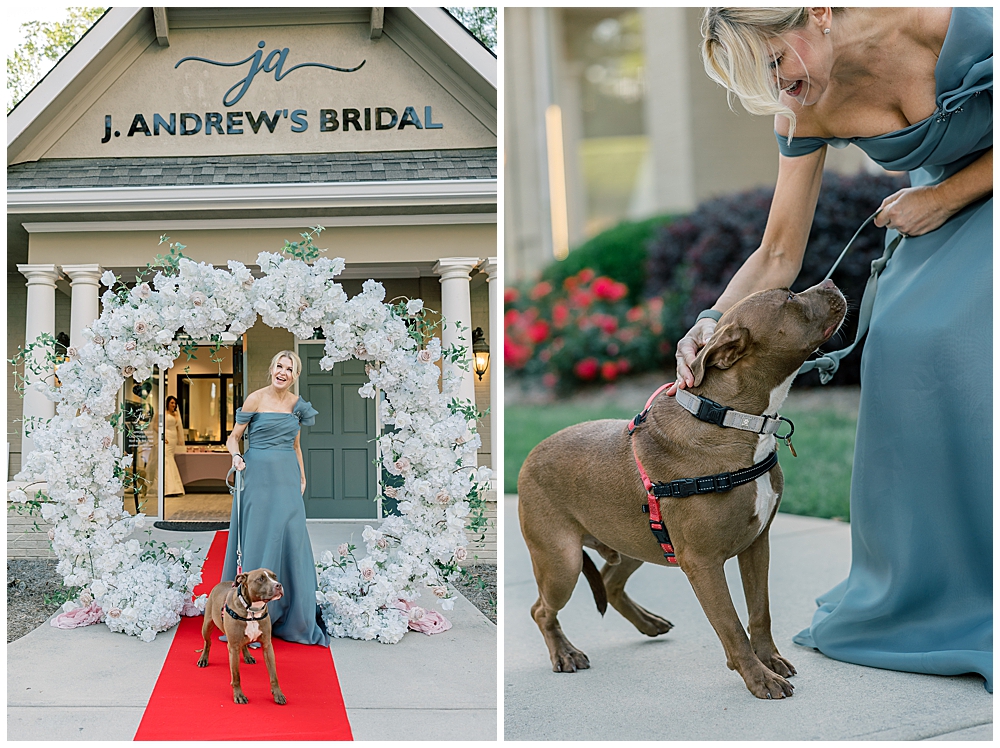 Adorable foster pups up for adoption from Hearts 'n Homes Dog Rescue featured at the J. Andrews Bridal Fur Ever Love Celebration Fashion Show in Peachtree City | Model posing in a mother of the bride dress in slate blue with a brown part-Mastiff foster dog on the runway